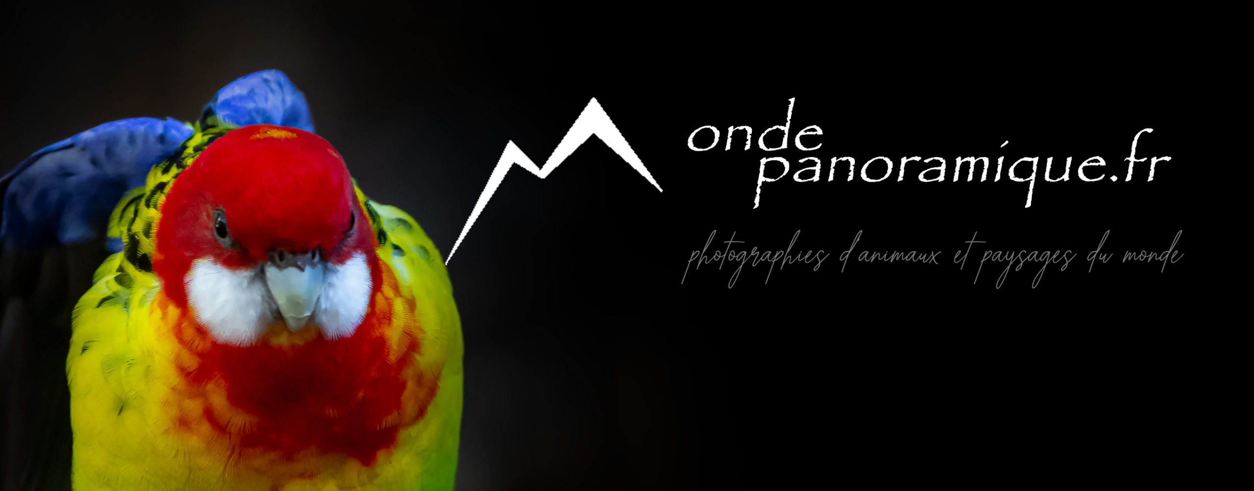 Monde Panoramique logo
