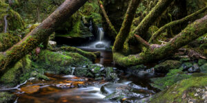 Frenchsmann's river - Tasmanie