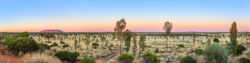 Plaine d'Uluru - Australie
