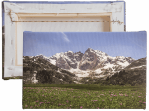 Photo sur Toile